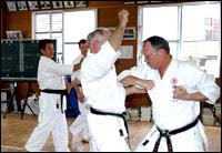 Okinawa training